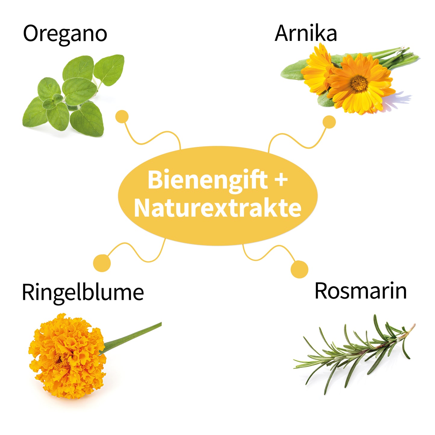 Rosmalin Bienengiftsalbe
